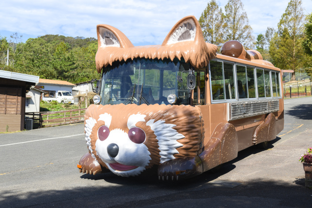 山口県 秋芳サファリパーク 子供連れ 動物ふれあい